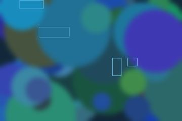 asset 11