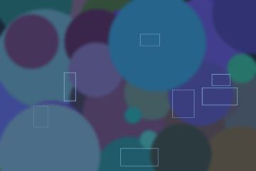 asset 12